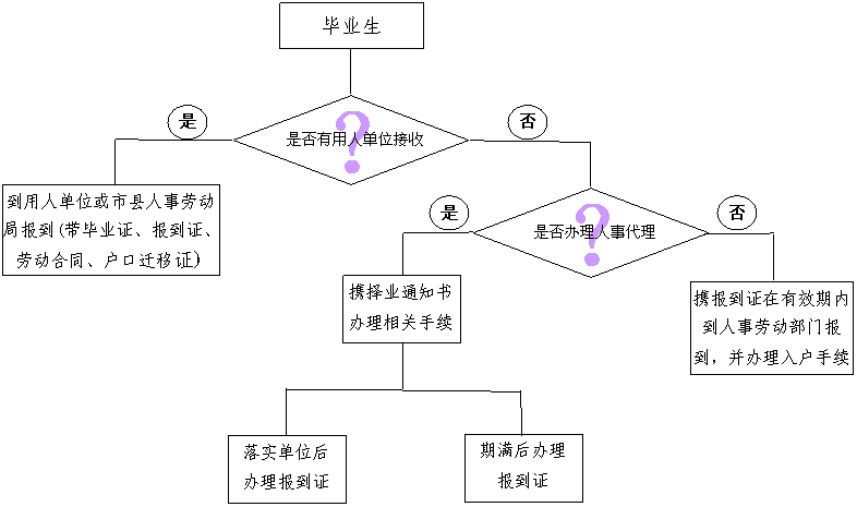 报到程序